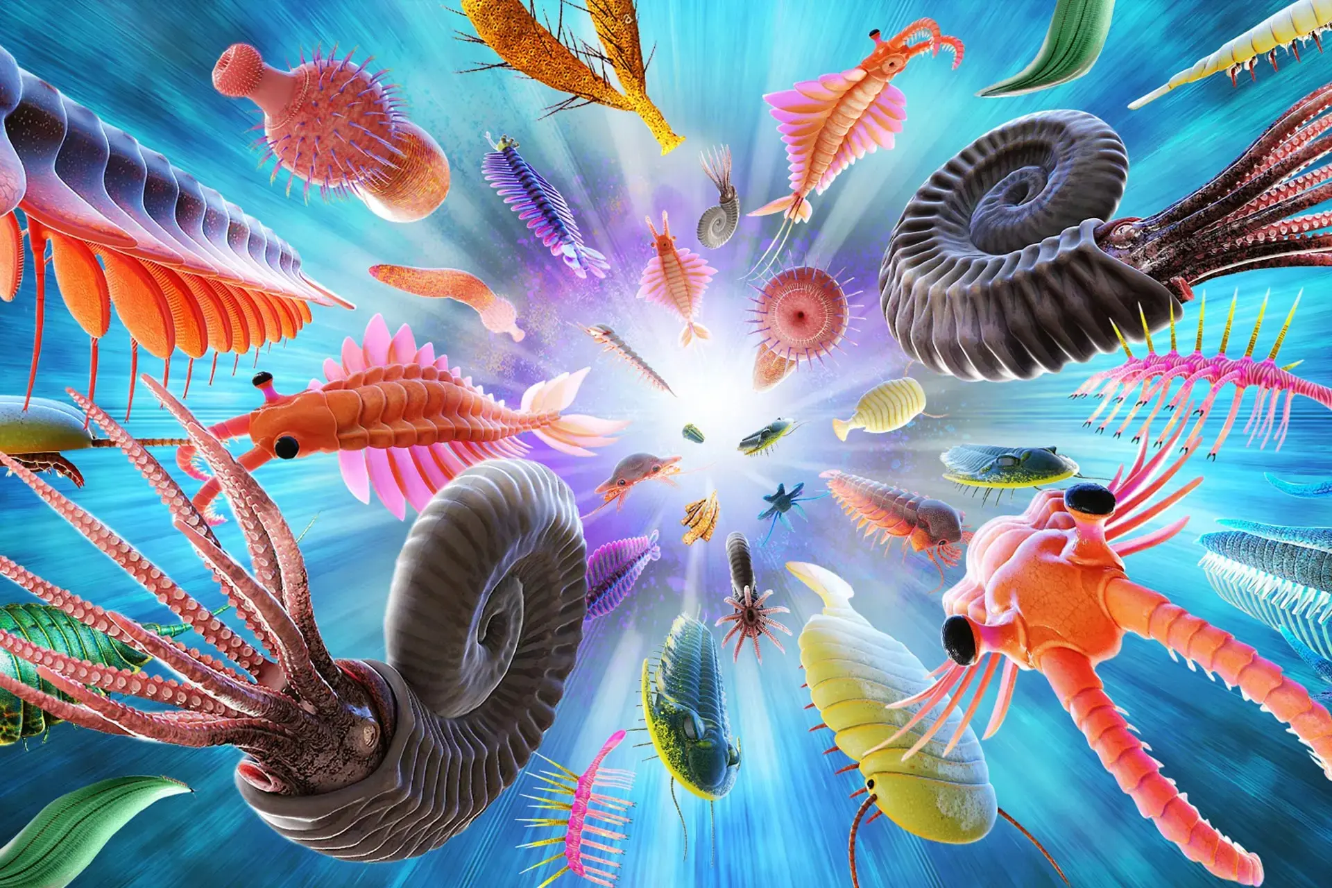 آیا انفجار کامبرین واقعاً اتفاق افتاده است؟