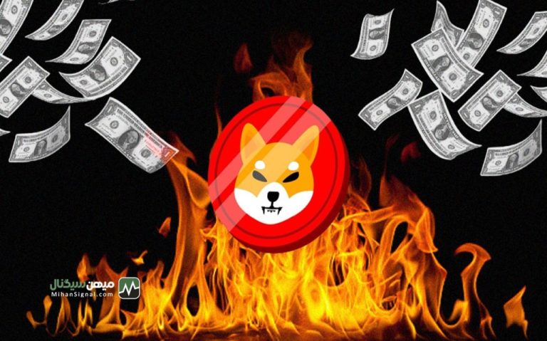 شیبا اینو با به ‌روزرسانی جدیدش، جامعه را شگفت زده می کند!