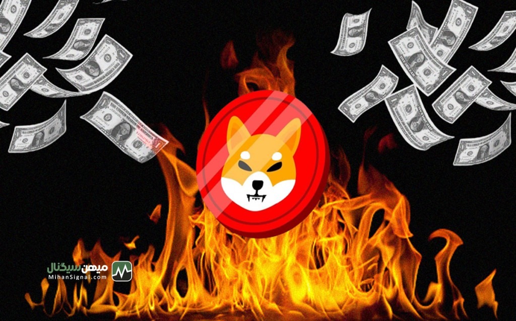 شیبا اینو با به ‌روزرسانی جدیدش، جامعه را شگفت زده می کند!