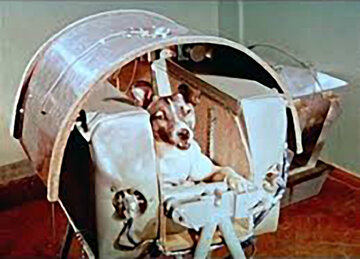 مرگ تلخ سگ روسی که به فضا فرستاده شد!/ عکس