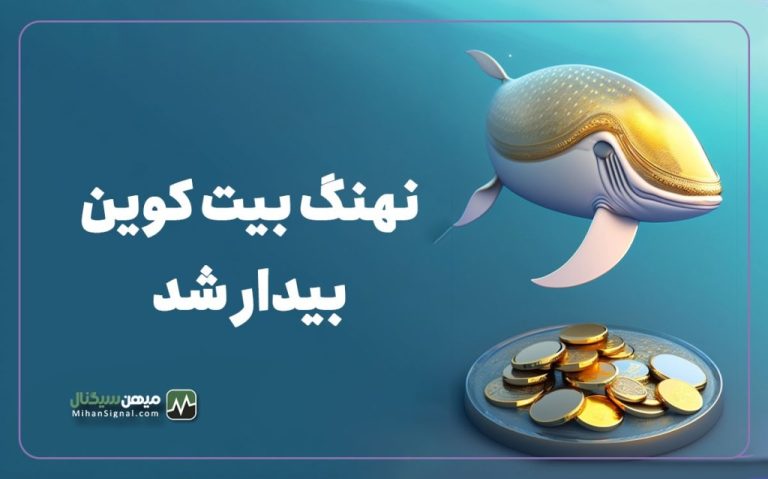 نهنگ بیت کوین بعد از ۱۱ سال بیدار شد و ۳۰ میلیون دلار جابجا کرد!