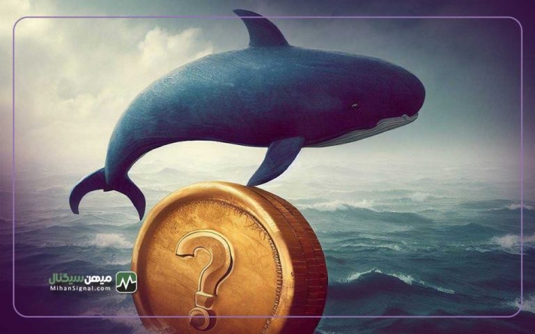 پس از حکم ریپل سرمایه گذاران نهادی بر این ۳ آلتکوین تمرکز کرده اند!