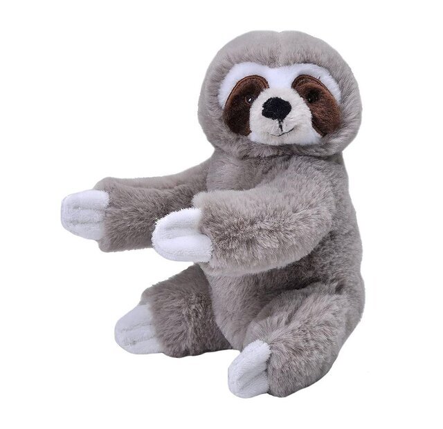 تنبلی که با یاسمین مقبلی به فضا رفت/ عکس