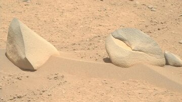 دیده شدن کوسه در مریخ!/ عکس