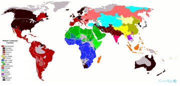 زنگ خطر به صدا درآمد/ کاهش ادامهدار سهم زبان فارسی در وب