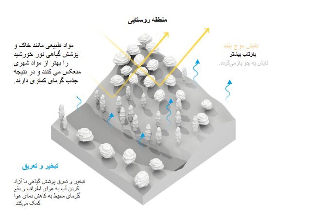 متهمان اصلی گرمای هوا شناسایی شدند!/ عکس