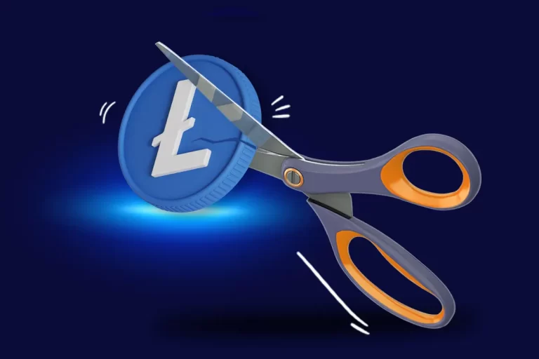 همتاپی: هاوینگ لایت کوین چیست؟ آیا می‌توان از هاوینگ لایت
کوین سود کسب کرد؟