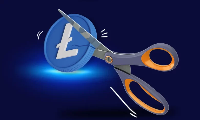 همتاپی: هاوینگ لایت کوین چیست؟ آیا میتوان از هاوینگ لایت
کوین سود کسب کرد؟