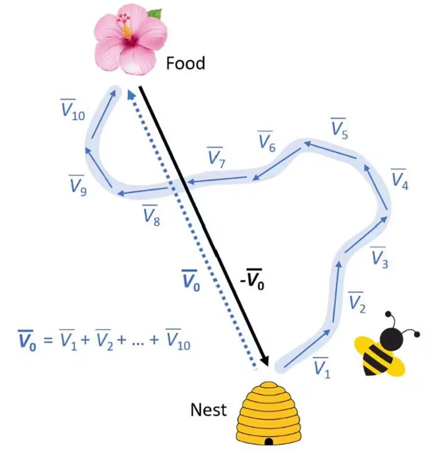 پاسخ این سوال ساده را نمیدانید/ چرا دو به علاوه دو همیشه چهار میشود؟