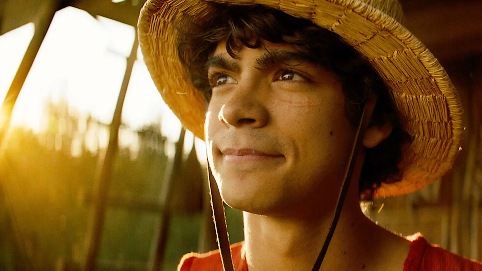 گردهم‌آیی دزدان دریایی کلاه حصیری در پوستر سریال لایو-اکشن
One Piece