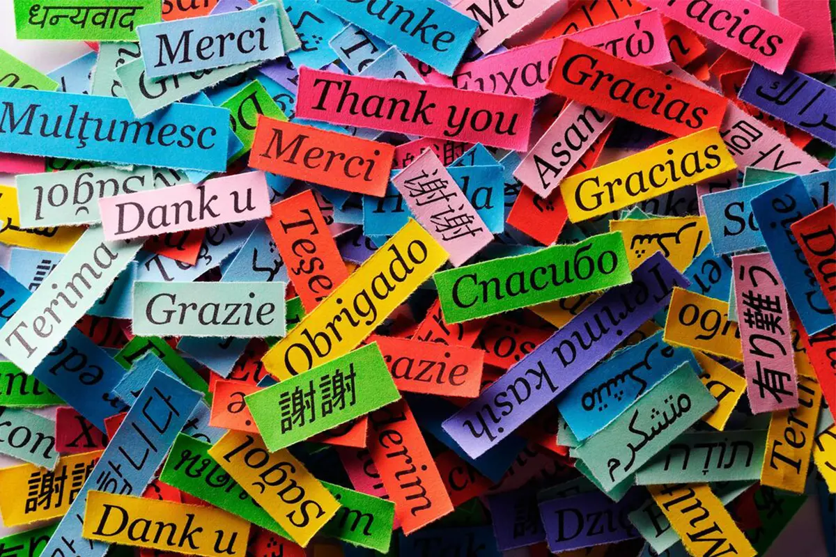 آیا بعضی از زبان‌ها ذاتاً زیباتر هستند؟