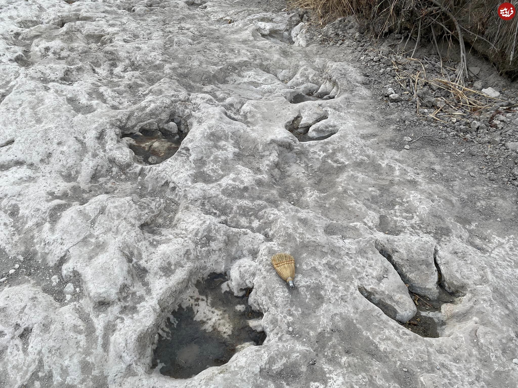(تصاویر) ردپاهای غول‌پیکر باستانی که در اثر خشکسالی آشکار شدند