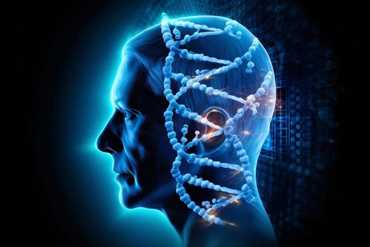 یک‌پنجم افراد ژنی دارند که در برابر آلزایمر و پارکینسون مقاوم است