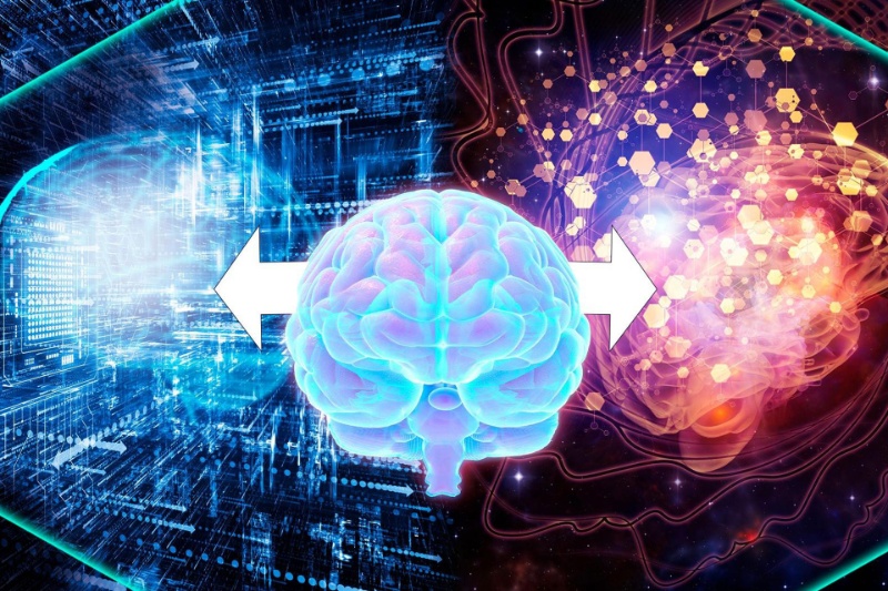 آیا فیزیک کوانتوم میتواند از اسرار رفتار انسان پرده بردارد؟