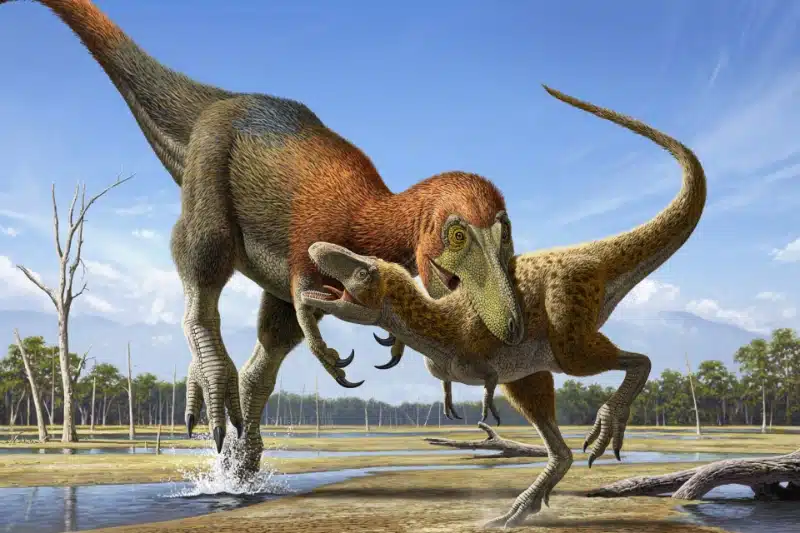 تقابل دیرینه دایناسورها؛ دانشمندان میگویند فسیلهای تیرکس جوان به گونهای جدید تعلق دارند