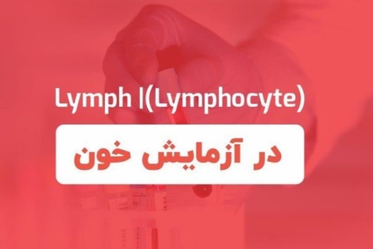 عدد نرمال آزمایش خون لنفوسیت + بالا و پایین بودن نشانه چیست؟ | همراه طب
