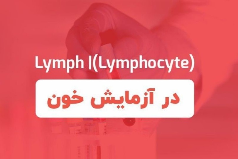 عدد نرمال آزمایش خون لنفوسیت + بالا و پایین بودن نشانه چیست؟ | همراه طب