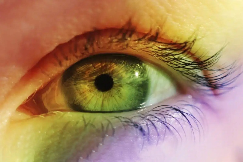 فقط یک مولکول دیدن میلیونها رنگ بیشتر از حیوانات را برای ما امکانپذیر میکند