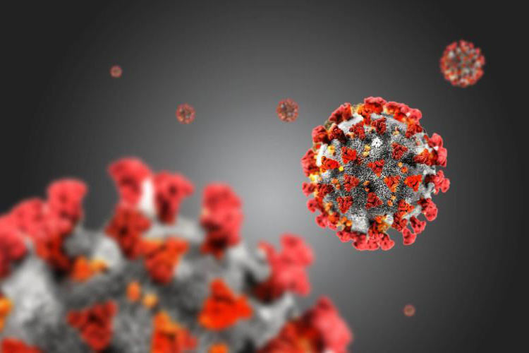 ویروس جدید چینی ۱۰۰ درصد باعث مرگ می‌شود