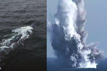 پهپاد اتمی کره شمالی سونامی به پا می‌کند/ عکس