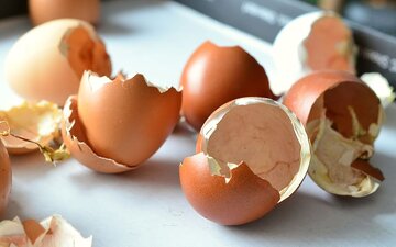 چرا نباید پوست تخم‌مرغ را دور ریخت؟