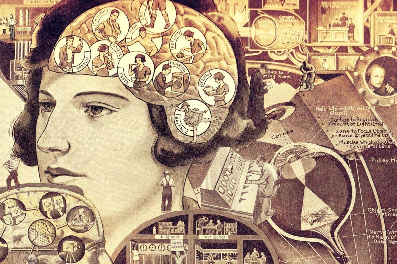 آیا آی کیو مهم است؟ تاریخچه تاریک تستهای هوش