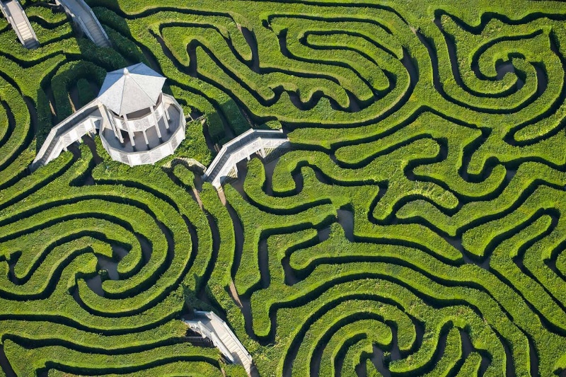 آیا برخی از افراد حس جهتیابی بهتری دارند؟