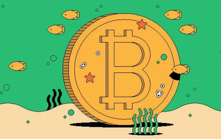 جدیدترین قیمت رمزارزها در جهان: ۹ اسفند