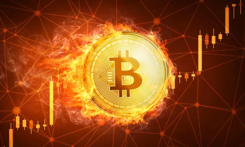 قیمت بیت کوین پس از دو سال به ۵۰ هزار دلار رسید