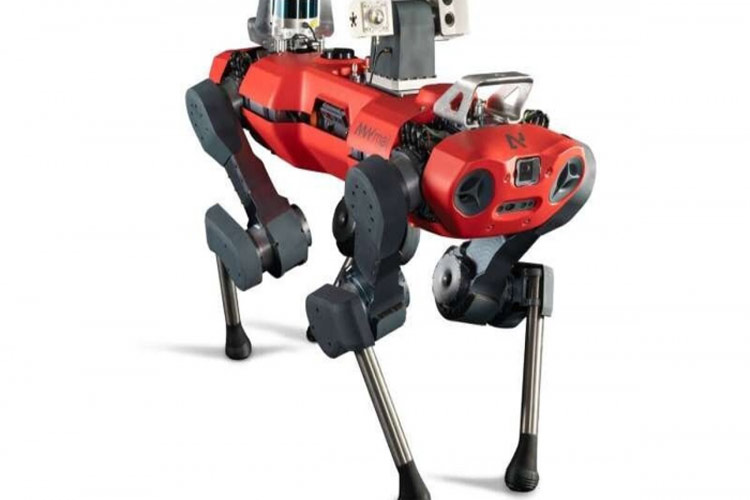 هوش مصنوعی جای سگ‌های راهنمای نابینایان می‌گیرد؟