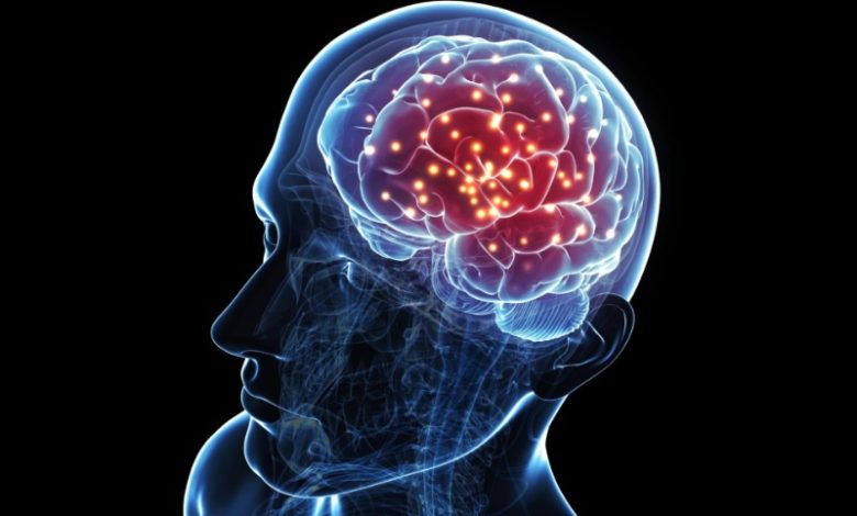 دانشمندان کلید ترس در مغز و نحوه خاموش کردنش را کشف کردند
