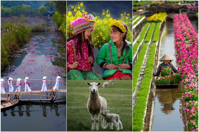 رنگارنگ و پرطراوت؛ جلوه‌ای از پایکوبی بهار در جهان