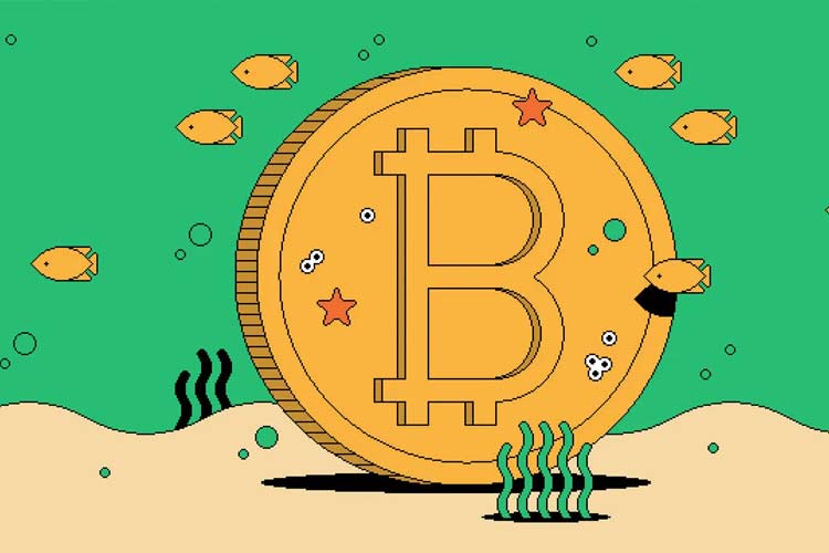 هاوینگ بیت‌کوین چیست و چرا مهم است؟