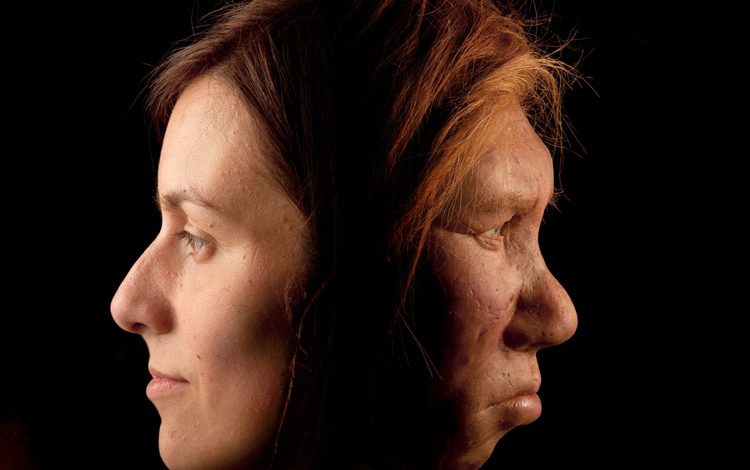 چرا انسان های مدرن جایگزین نئاندرتالها شدند؟