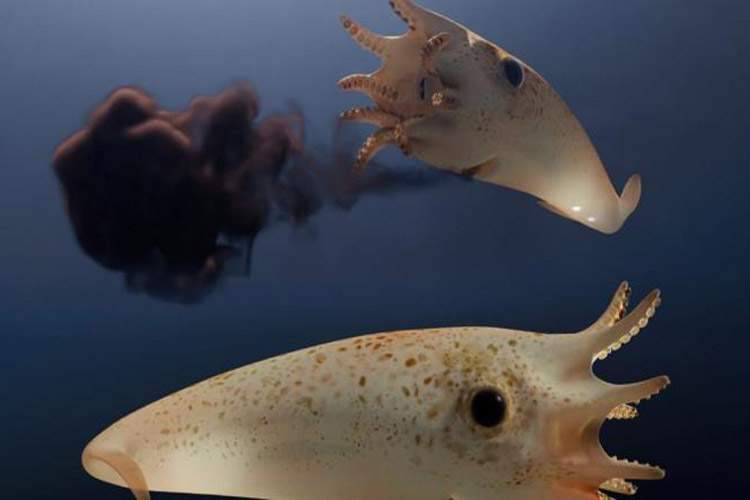 کشف عجیب یک «خون‌آشام» در فسیل ۱۸۳ میلیون ساله!