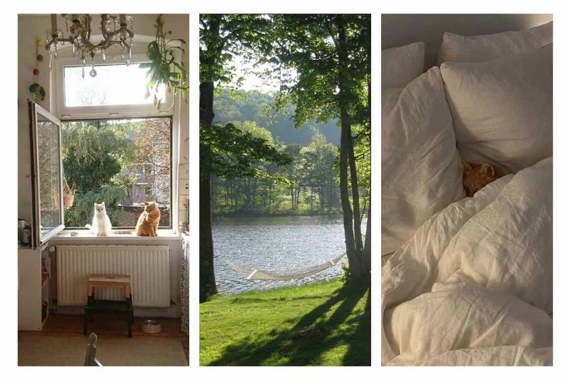 این تصاویر به رهایی از افسردگیِ پس از تعطیلات کمک میکنند