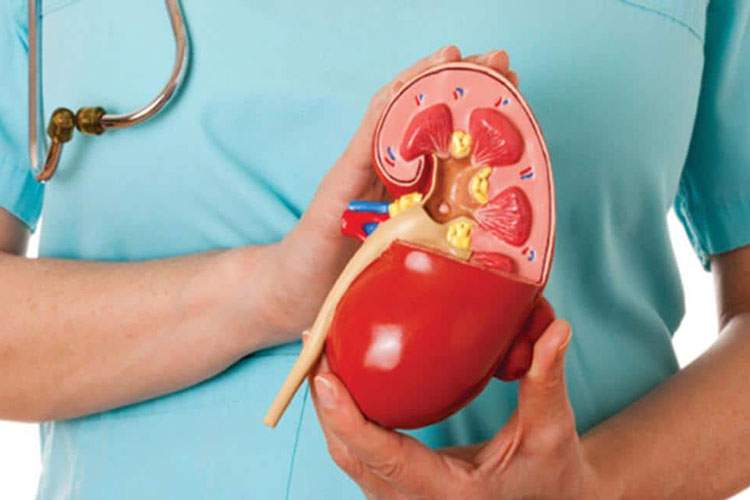 این چهار نوشیدنی را صبحها مصرف نکنید تا کلیهتان سالم بماند