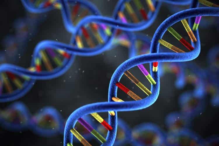 به درمان سرطان به کمک آزمایش دیانای امیدوار باشیم؟