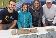 دختربچه ۱۱ ساله بریتانیایی فسیل بزرگ‌ترین خزنده دریایی جهان را پیدا کرد
