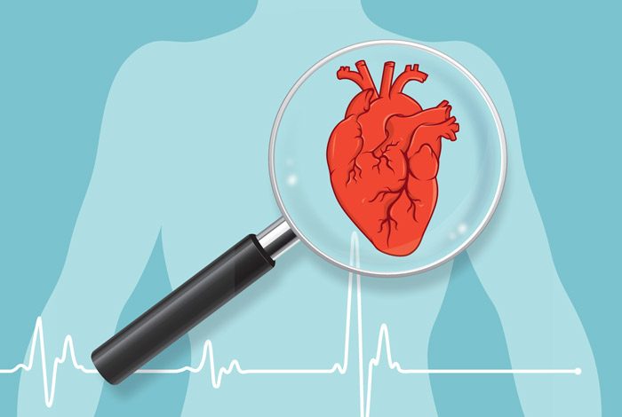 ضربان قلب در حالت استراحت یکی از نشانههای تناسب اندام و طول عمر است