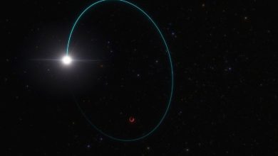 کشف سنگین‌ترین سیاه‌چاله ستاره‌ای راه شیری در فاصله بسیار نزدیک به زمین