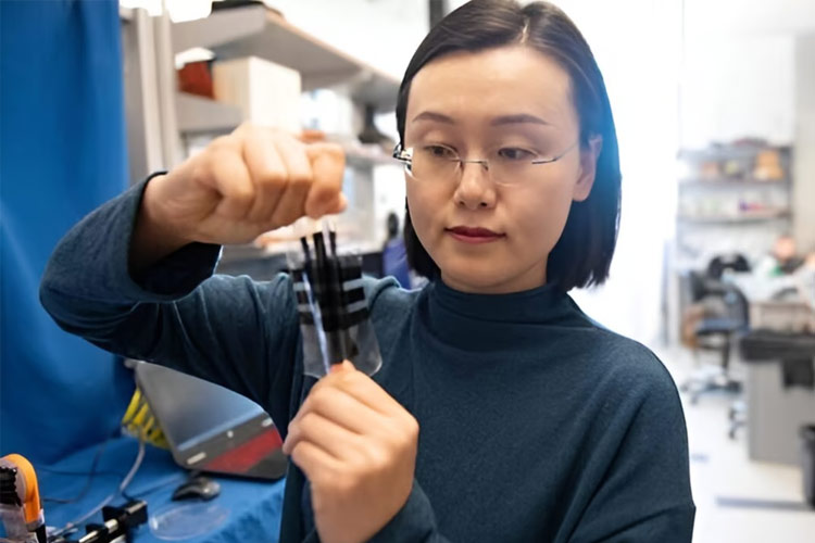 اولین پوست الکترونیکی قابل کشش در جهان