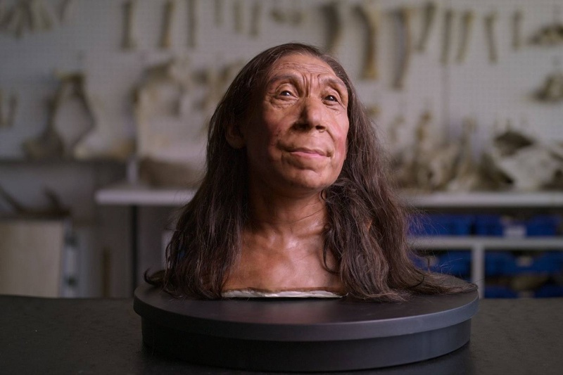 دانشمندان چهره زن نئاندرتال کشفشده در غاری در کردستان عراق را بازسازی کردند