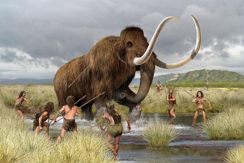 ساکنان اولیه آمریکا در چهار موج از سیبری مهاجرت کردند