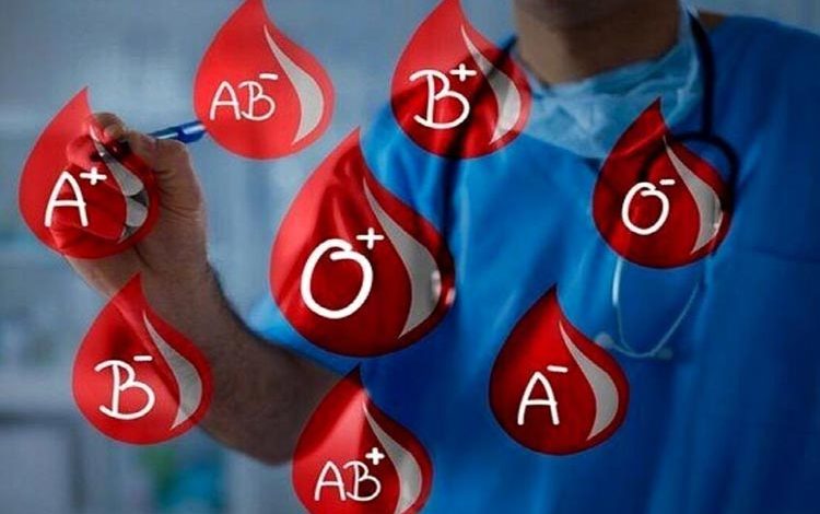 گروه خونی همگانی در راه است؛ آنزیمی که ناهمخوانی گروههای خونی را از بین میبرد