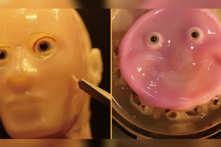 اختراع پوست زنده با قابلیت ترمیم؛ ربات‌های آینده شبیه انسان می‌شوند