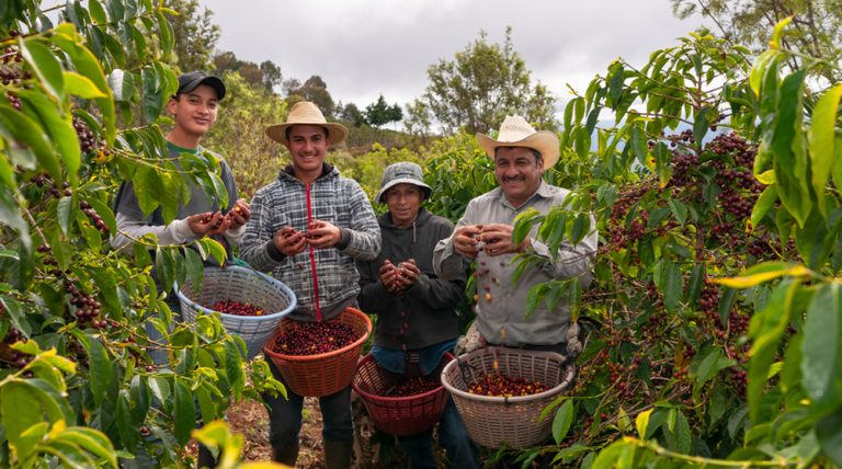غول‌های قهوه در جهان چه کسانی هستند؟