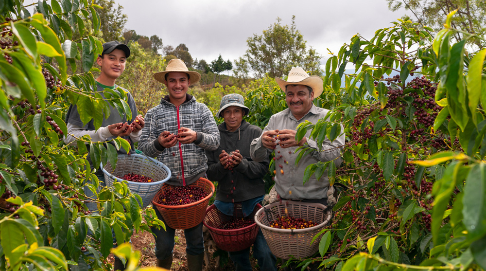 غول‌های قهوه در جهان چه کسانی هستند؟