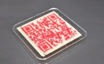 اختراع کدهای QR خوراکی!
