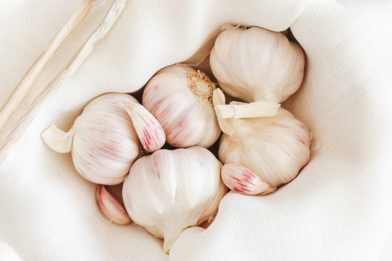 سیر میتواند گلوکز و کلسترول خون را پایین نگه دارد